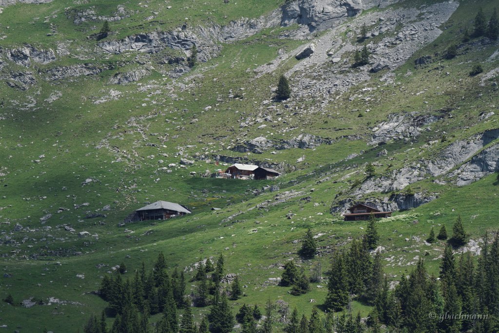 20120617_152